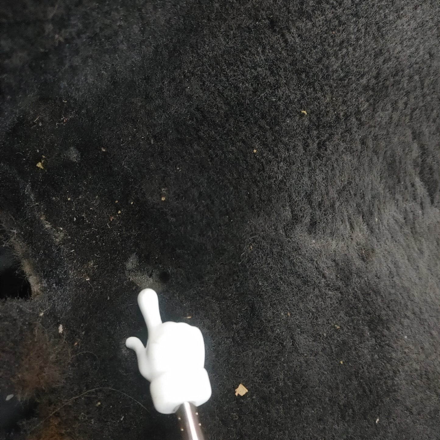 LHD Oem Black Front Floor Main Carpet  RX7 FC FC3S 86 - 91 Mazda S4B0/300