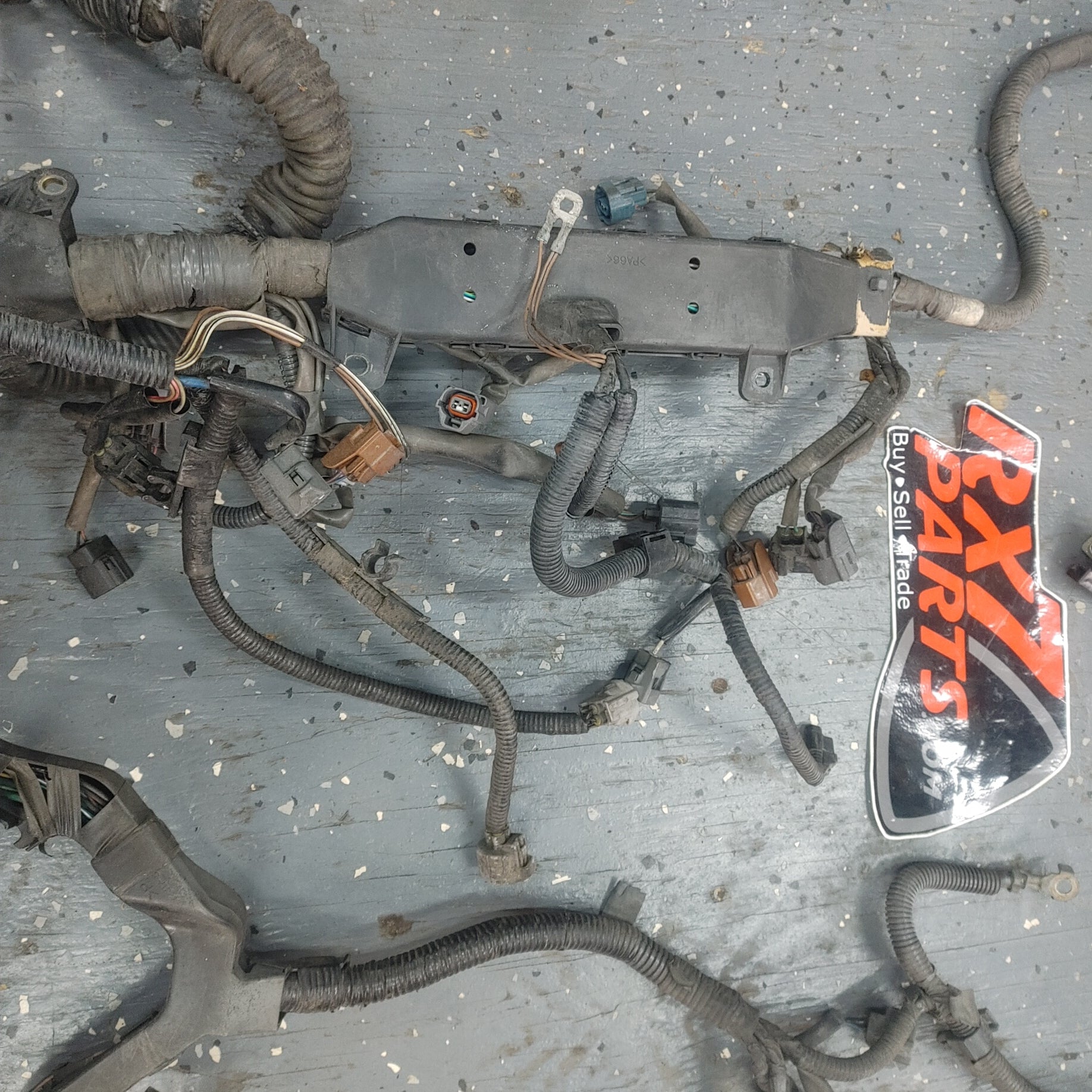 LHD Engine Wire Harness S4B0/349W Is300 SXE10 01 - 05 Lexus  8212153101B1 - RX7Parts