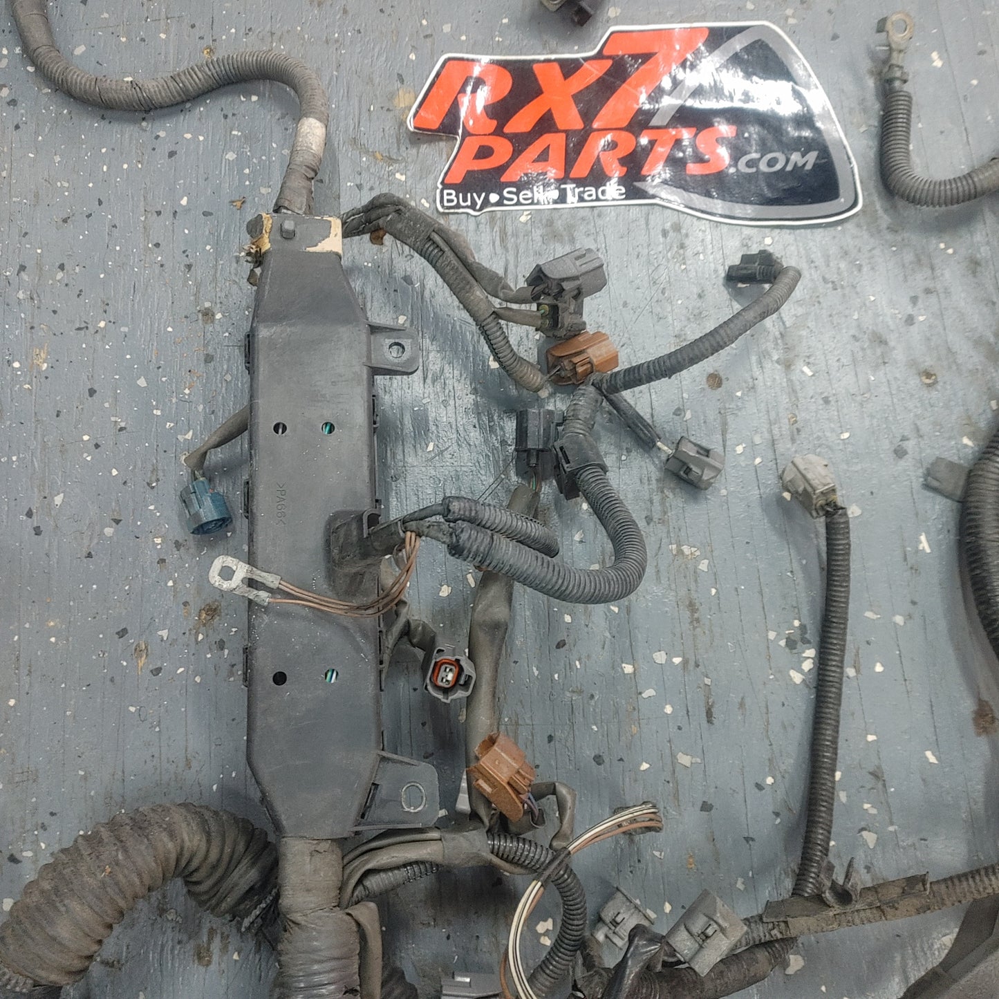 LHD Engine Wire Harness S4B0/349W Is300 SXE10 01 - 05 Lexus  8212153101B1 - RX7Parts