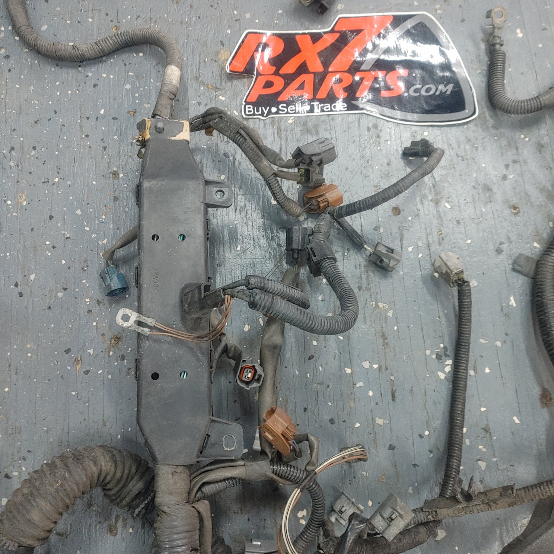 LHD Engine Wire Harness S4B0/349W Is300 SXE10 01 - 05 Lexus  8212153101B1 - RX7Parts