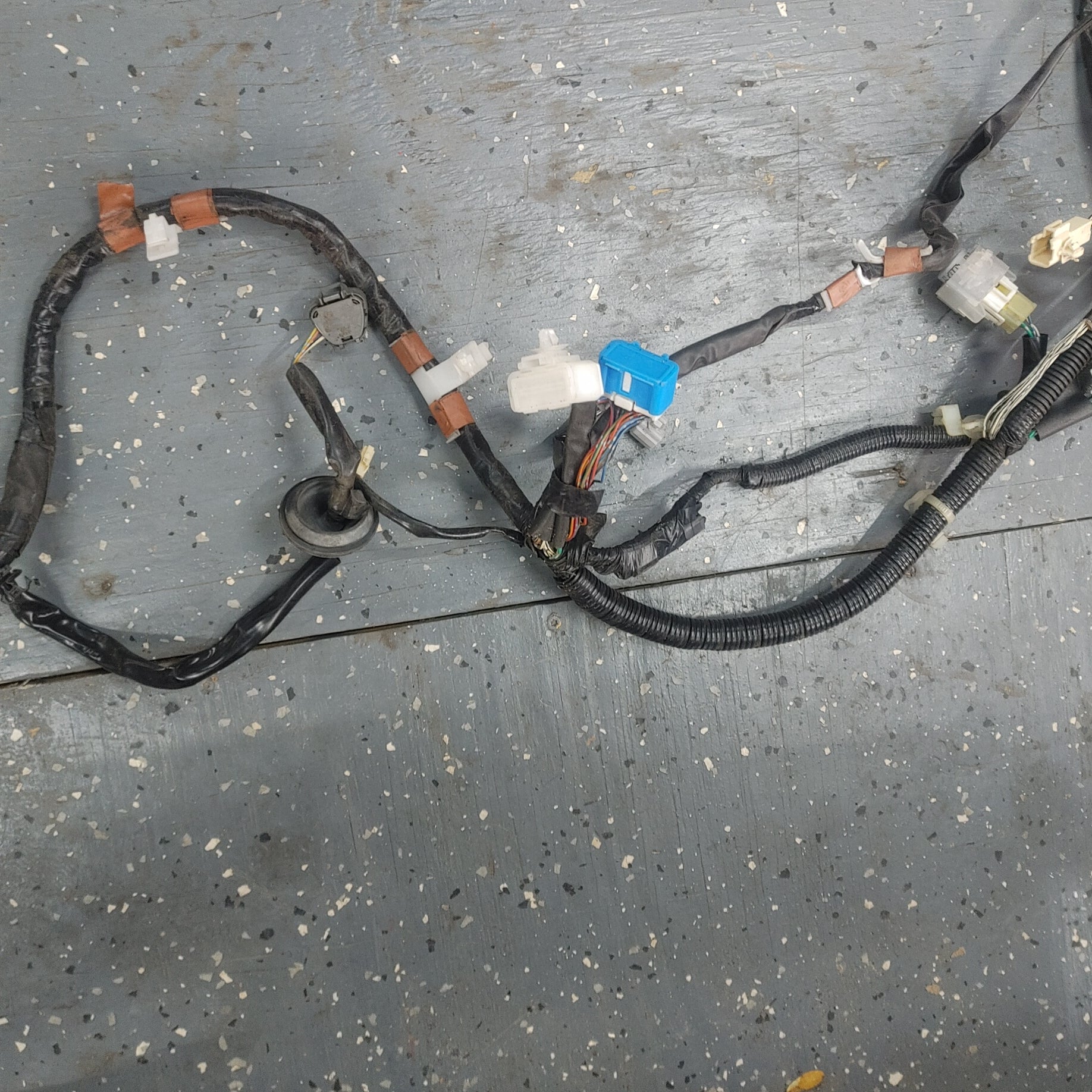 LHD Chassis Wire Harness S4B0/350W Is300 SXE10 01 - 05 Lexus  8216253351C1 - RX7Parts