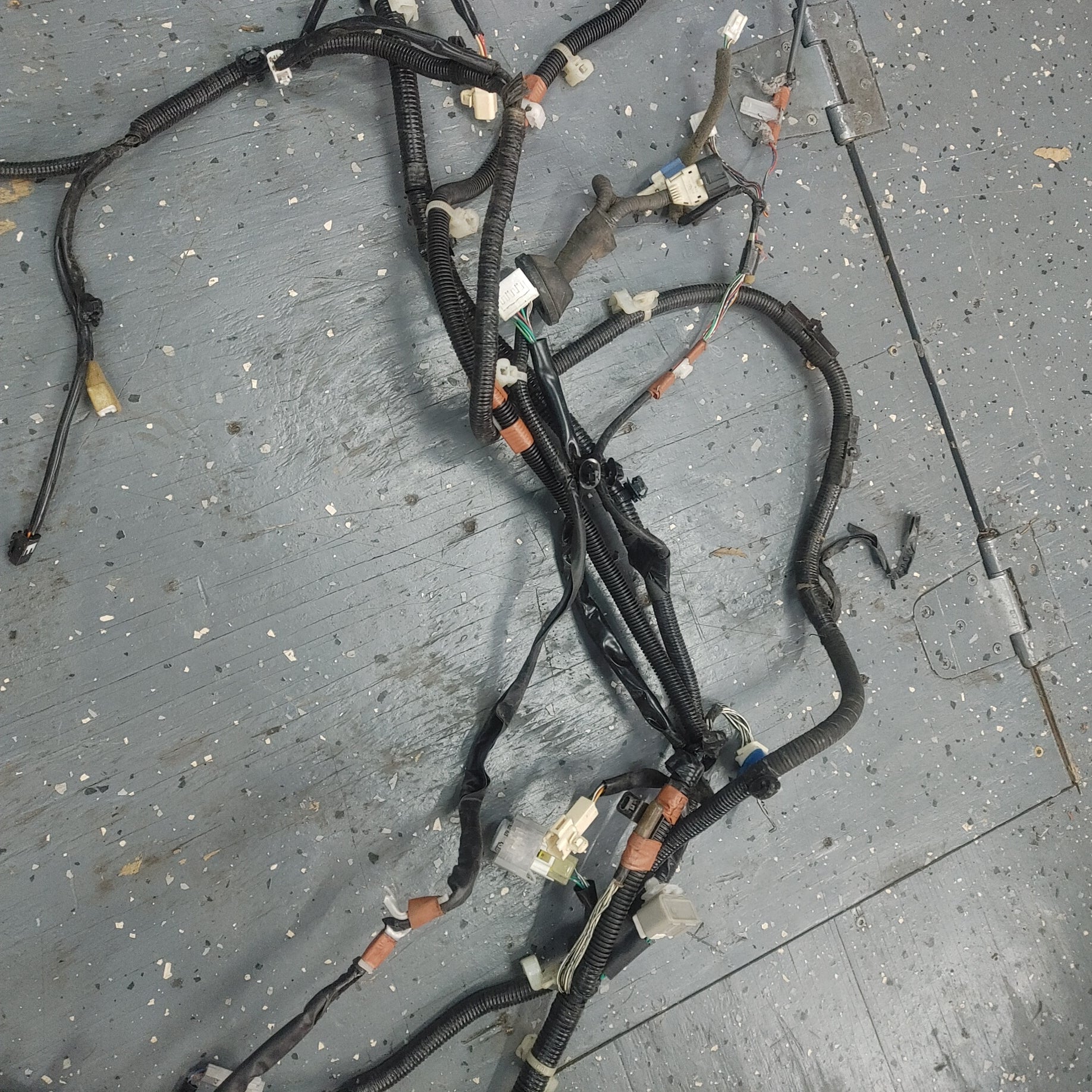 LHD Chassis Wire Harness S4B0/350W Is300 SXE10 01 - 05 Lexus  8216253351C1 - RX7Parts