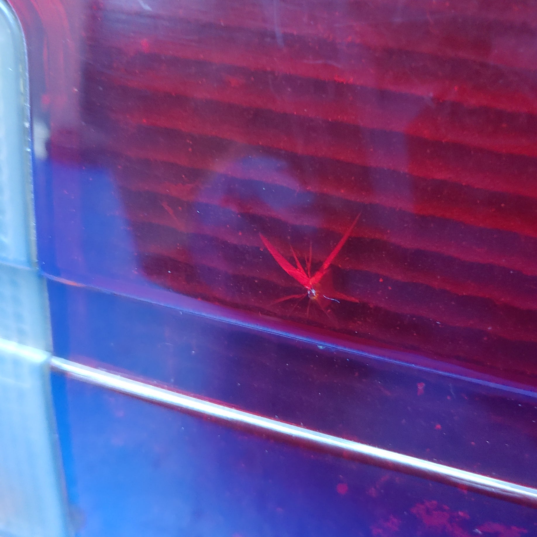 Left S5 Taillight  RX7 FC FC3S 86 - 91 Mazda SH1B12/2 - RX7Parts